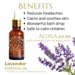 Aldila Lavender Essential Oil : Lavandula Angustifolia