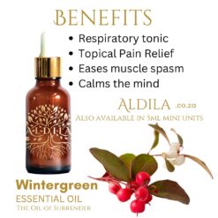 Aldila Wintergreen Essential Oil