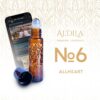 EMBARK NO 6 ALLHEART FOR INTIMACY AND CONNECTION
