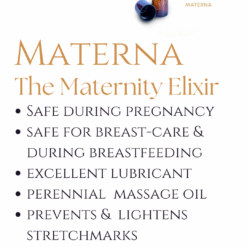 Embark No. 2 Materna Shorts