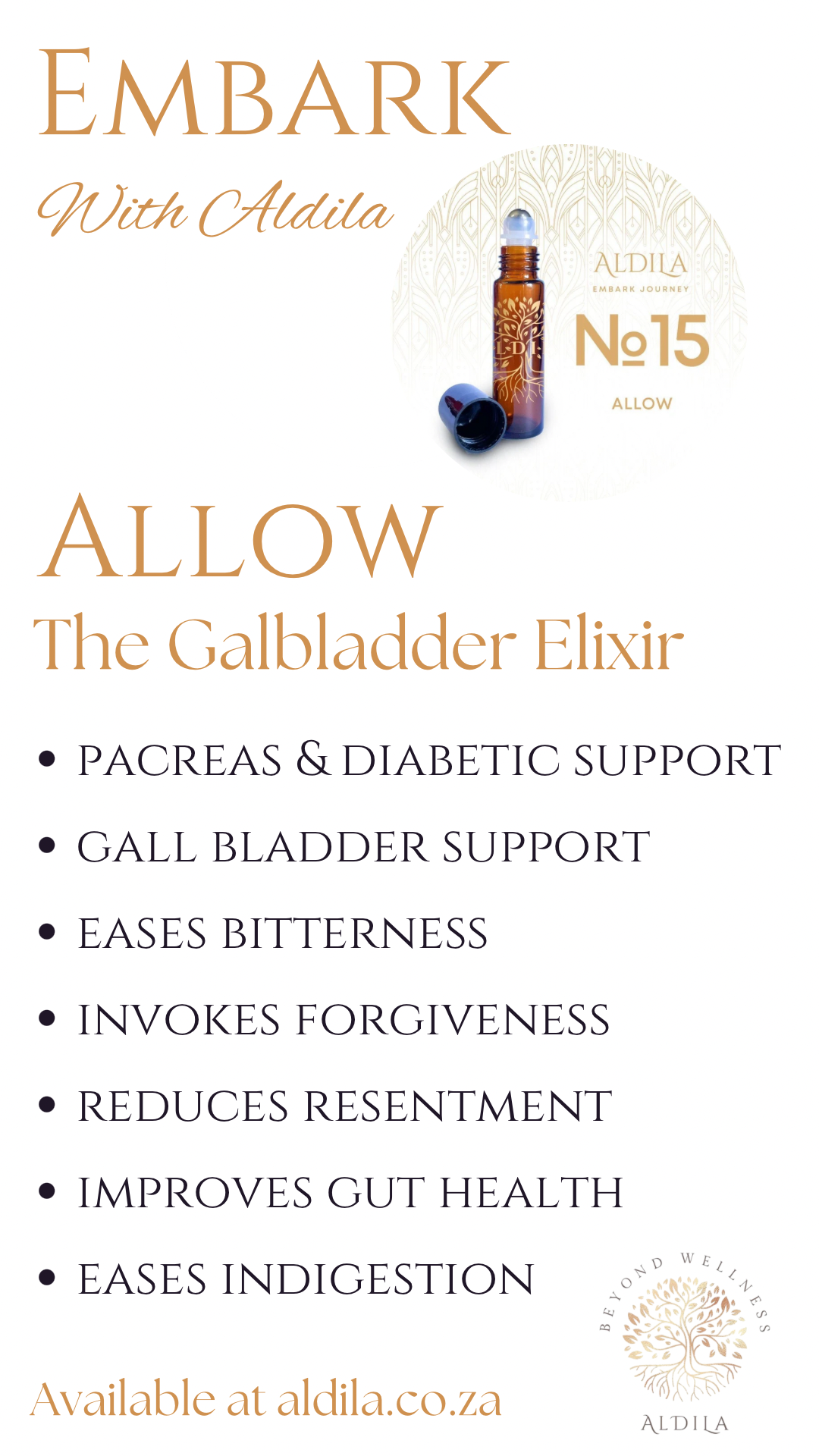 Embark Divorce Quartet - The Healing after Divorce Journey with Aldila - Image 7