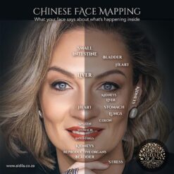 Beyond The Face - Analysis Report by dr. Aldi - Written Feedback and Skin Wellness Script Option 2